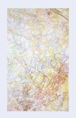 INGRID CALAME, # 179 Working Drawing, 2005, color pencil on trace Mylar, 176 x 88 inches