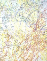 INGRID CALAME, # 179 Working Drawing, 2005, color pencil on trace Mylar, 176 x 88 inches