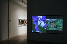 CHERYL PAGUREK | GROWING PAINS | TWO-CHANNEL VIDEO | INSTALLATION VIEW | PATRICK MIKHAIL GALLERY | 2010