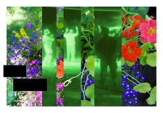 CHERYL PAGUREK | HIGH VALUE TARGET 5: THEY HAVE WOUNDED | ULTRACHROME DIGITAL PRINT ON SEMI-MATT PHOTO PAPER | 34 X 49 INCHES | 2009