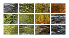 CHERYL PAGUREK | RIVER SUITE | DIGITAL PRINT ON PHOTO PAPER | 36 X 63 INCHES | 2012