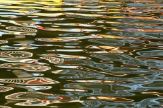 CHERYL PAGUREK | STATE OF FLUX 2 | DIGITAL PRINT ON PHOTO PAPER | 25 x 37.5 INCHES | 2012