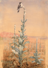Sold Fidelia Bridges gouache and watercolor painting Summer Song - Kingbird on Verbascum stalk.