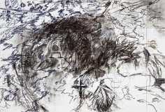 Weeds VI,&nbsp;2010,&nbsp;charcoal, ink and acrylic on paper,&nbsp;30.25&nbsp;x 44 inches
