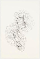 Hairnet Drawing 2013