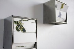 Vivarium B (diptych),&nbsp;color screen print, stainless steel motor &amp;amp; electronics, 5 x 4.25 x 3.75 in.