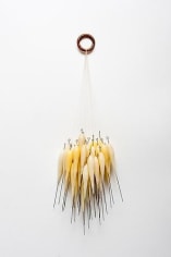 Harem 2013 bulls nose ring, violin bow hair, wax, steel pins