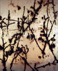 Dove Bradshaw Contingency [Poplar], 2011