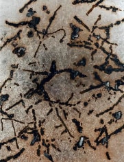 Dove Bradshaw Contingency [Sticks &amp;amp; Stones], 2013