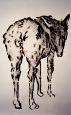 Sketch of donkey turning its head