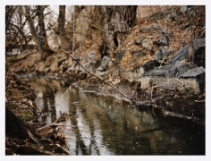 Photo-collage of nature creek