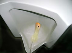 Closeup of urinal
