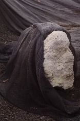 Photo of fishnet covering boulder