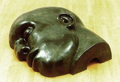 Head