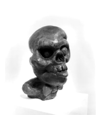 Ancestor II