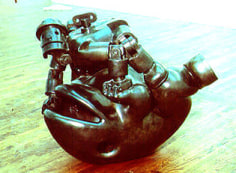 Frog and Robot