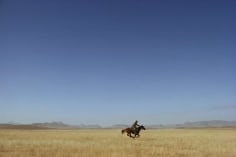 William Albert Allard- Lone Rider