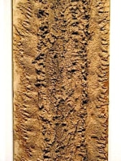 JONATHAN FERRARA, Remnant, detail, 2011