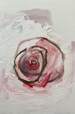MARGARET EVANGELINE, Bullseye Camellia #1, 2022