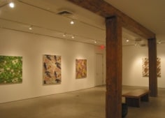 Installation view, Alain Vaes: New Paintings, George Adams Gallery, New York, 2011.