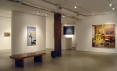 Installation view, 'Lino Lago: New Paintings,' George Adams Gallery, New York, 2011.