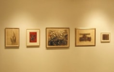 Installation view, Different Strokes: 20th Century Drawing, George Adams Gallery, New York, 2010.