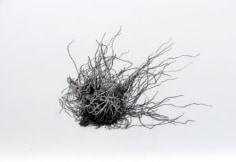 Valerie Demianchuk Untitled (Root Ball), 2004