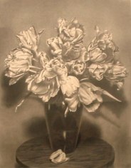 Tulips  1989