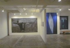 Jose Bedia Exhibition Installation