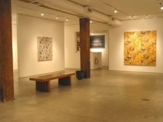 Installation view, Alain Vaes, 'New Paintings,' George Adams Gallery, New York, 2011.