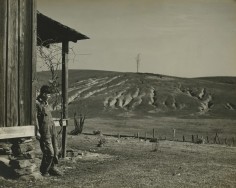 Arthur Rothstein  Eroded land on tenant's farm, Walker County, Alabama, 1937 Gelatin silver print; printed c.1937 7 5/8 x 9 1/2 inches, Howard greenberg gallery, 2020