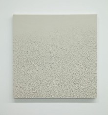 Tom Friedman Light Gray Mudscape, 2014