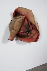 Michelangelo Pistoletto Rosa bruciata (Burnt Rose), 1965
