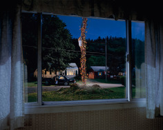 Gregory Crewdson, Untitled (flower beanstalk), 2001