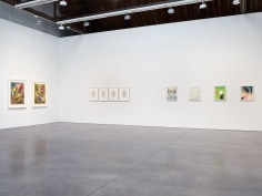Prints and Editions  Installation view  January 25 &ndash; February 23, 2019  Luhring Augustine, New York  Pictured from left: Philip Taaffe, Christopher Wool, Sanya Kantarovsky