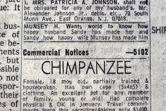 Joel Sternfeld, New York Times classified advertisement, 1970s