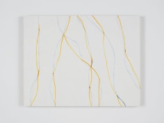 Zeng Hong United Lines (yellow and blue), 2018