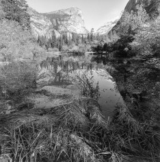 Lee Friedlander Yosemite National Park, California, 2004 / Printed 2020