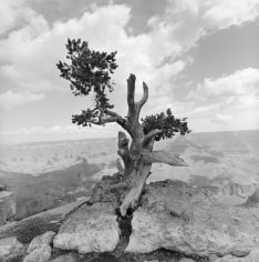 Lee Friedlander Grand Canyon National Park, Arizona, 1997 / Printed 2019