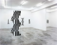 Barry X Ball, Installation view