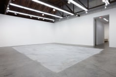 Roger Hiorns Installation view