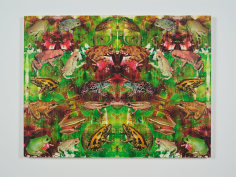 Philip Taaffe Panel with Larger Frogs, 2022