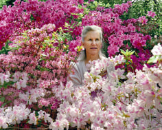 Caroline Burghardt Spring Flowers, 2008