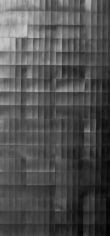 AYESHA SULTANA, Untitled, 2014