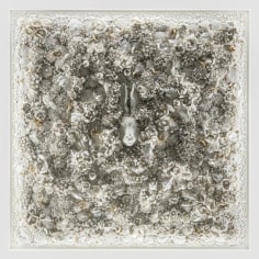 Melis Buyruk, Habitat The Rabbit, 2019