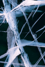 Diane Tuft, Polygons, Lake Vanda, 2012