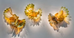 Dale Chihuly, Celadon Umber Persian Wall, 2018