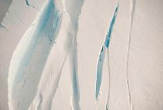 Diane Tuft, Cape Crozier, 2012