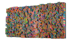 Francesca Pasquali, Straws, 2016