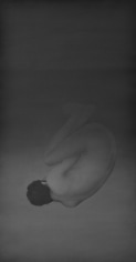 ALI KAZIM, The Fall, 2014